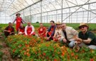 FoodFest Antalya'da şefler ve üreticiler aynı hasatta buluştu