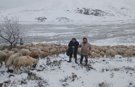 Isparta’da kar ve heyelan felaketi: 2 çoban ve 650 koyun mahsur kaldı