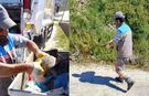 Alanya'da vicdansızlık: Ölüme terk ettiler