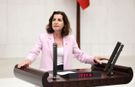 Aliye Coşar: "Yargı, siyaseti dizayn ediyor"
