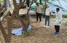 Antalya'da acı olay: Bahçede ölü bulundu