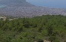 Alanya'da korkutan yangın! Çayarası Yaylası'ndan dumanlar yükseldi