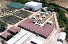 Serik Belediyesi'nden sahipsiz hayvanlar için modern yaşam merkezi