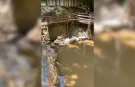 Alanya’da skandal! Atık sular dereye bırakılmış