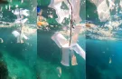 Akdeniz’de mikroplastik alarmı! Su altında kirlilik 3 kat fazla