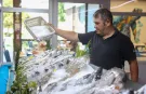 Antalya’da Düden Balık Çarşısı balıkseverlerin uğrak noktası oldu