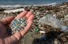 Prof. Dr. Öztürk uyardı: "Plastik atıklar güneşte parçalanarak ekosisteme yayılıyor"