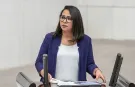 TİP Milletvekili Sera Kadıgil hakkında iki soruşturma!
