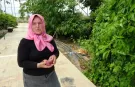 Çatıda bir fidanla başladı, şimdi 100'den fazla tropikal meyve yetiştiriyor