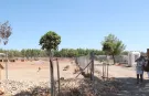 Antalya’da sokak hayvanlarına 105 kişilik şefkat eli