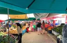 Alanya pazarlarında "güven terazisi" dönemi