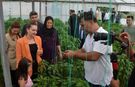 Antalya Büyükşehir'den Serikli üreticiyi ilgilendiren dijital tarım hamlesi