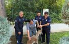Kemer'de koruma altındaki yaralı dağ keçisine veteriner şefkati