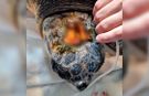 Kafatası kırılmıştı! Caretta caretta’dan umut veren haber geldi