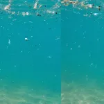 Antalya’nın el değmemiş koyu plastik çöplüğüne döndü!