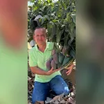 Eşini bıçaklayıp int*har etmeye kalktı!