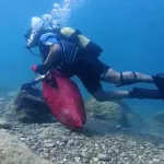 Denize atılan Hıdırellez dilekleri, deniz canlılarını tehdit ediyor