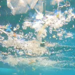 Akdeniz kıyıları mikroplastik altında, Bakanlığın gündemi kiralama!