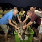Misinaya takılan caretta caretta yeniden denizle buluştu!