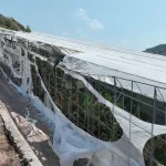 Yangından zarar gören seralar için Antalya Büyükşehir harekete geçti
