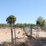 Antalya’da sokak hayvanlarına 105 kişilik şefkat eli