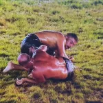 674. Elmalı Yağlı Güreşleri’nde şampiyon Orhan Okulu! 7. kez kazandı