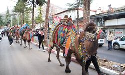Antalya'da deve güreşleri düzenlenecek