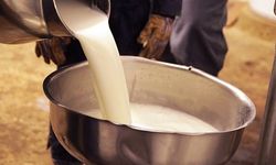 Çiğ sütün işlenme kurallarında süre uzatıldı