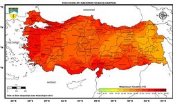 İklim krizi nedeniyle ekstrem sıcaklıklar devam ediyor. 53 yılın en sıcak Kasım ayı yaşandı