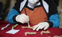 Kazılarda 1500 yıllık Anadolu leoparı kemikleri bulundu 