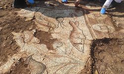 Mardin'de bulunan deniz canlıları figürlü mozaikler şaşırttı