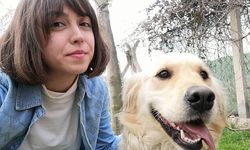 Sokaktaki canların takipçisi olacağız!
