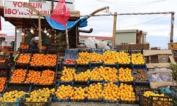 Mandalinada hasat iyi, satışlar kötü