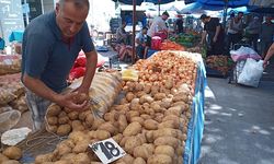 Patates ve soğan fiyatları yükseliyor