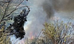 Mersin'de çıkan orman yangını kontrol altına alındı