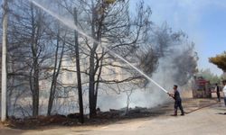 Antalya'da ağaçlık alandaki yangın, evlere ulaşmadan söndürüldü