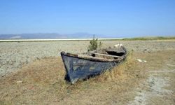 'El Nino' etkisi Türkiye'yi olumsuz etkiliyor