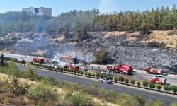 Mersin'in Tarsus ilçesindeki tüplü kaza, alevleri ormana sıçrattı