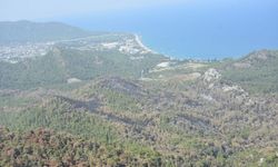 Antalya'nın gözbebeği Kemer, orman yangınında ağır yaralı...