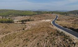 Muğla'da yeniden doğuş: Yangınlar sonrası yaralar sarılıyor