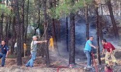 Muğla'da büyü bozmak için orman yaktı