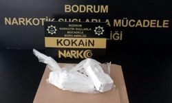 Bodrum'da büyük uyuşturucu operasyonu