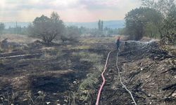 Burdur'da alevlerin arasında kalan kaplumbağa ve yılanı kurtaramayan itfaiye eri'nin üzüntüsü