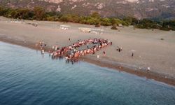 Çıralı sahili'nde sıradışı turizm