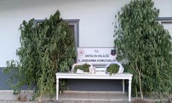 Manavgat'ta dev uyuşturucu operasyonu: 17 kilogram skunk ele geçirildi