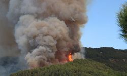 Yumaklı, Alanya'da devam eden orman yangınına müdahale için bölgeye gitti