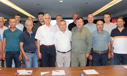 Zeytin sektöründe "Yok Yılı" ve markalaşma çağrısı