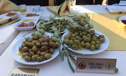 Hatay'da Altınözü Zeytin ve Zeytinyağı Festivali düzenlendi