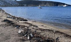 Sağanak sonrası Bordum sahilleri, çöple doldu