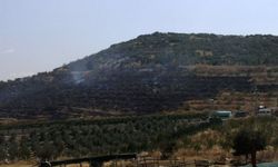 Bucak'ta özel ağaçlandırma sahasında çıkan yangın kontrol altına alındı